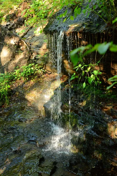 DSC_2813 (Large).JPG